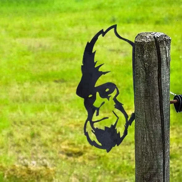 Chimpanzees Chimpanzees