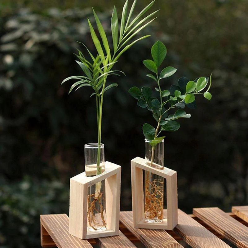 Clara - Hydroponic Crystal Glass Planter Set - - #tag1#