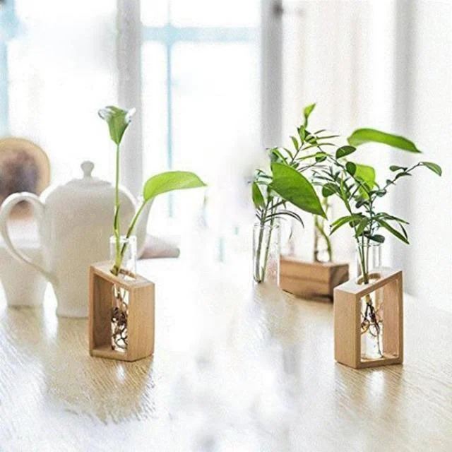 Clara_-_Hydroponic_Crystal_Glass_Planter_Set_-_-_tag1_-4177025 Clara - Hydroponic Crystal Glass Planter Set - - #tag1#