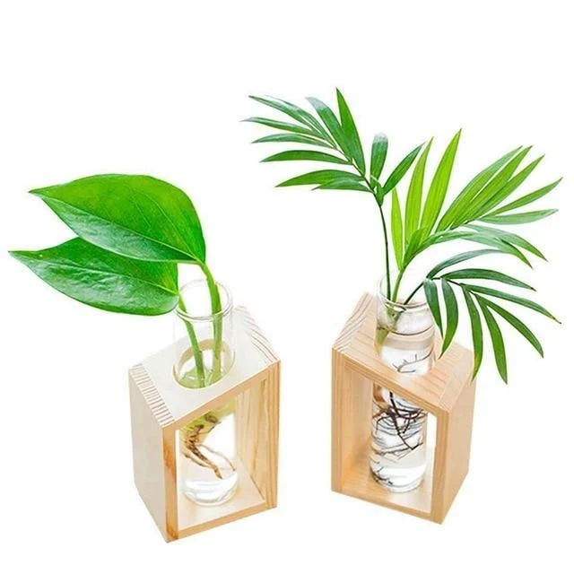 Clara_-_Hydroponic_Crystal_Glass_Planter_Set_-_-_tag1_-4177034 Clara - Hydroponic Crystal Glass Planter Set - - #tag1#