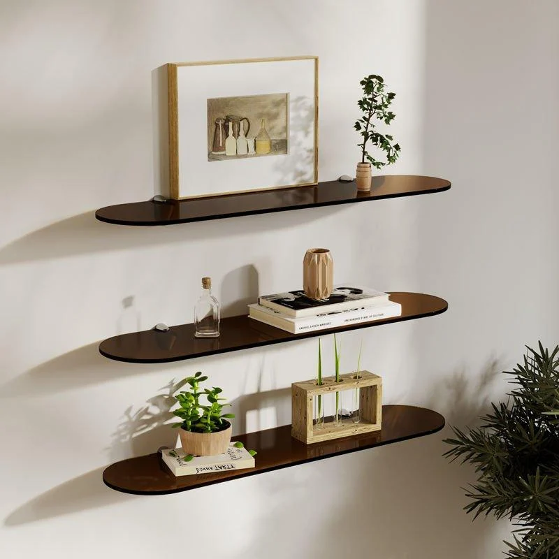 Coloured Acrylic Wall Mounted Storage Shelves - - #tag1#