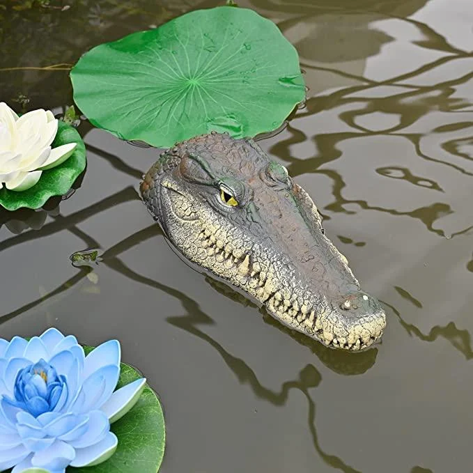 Crocodile_head_Frog_Animal_Floating_Statue_-_-4170421 Crocodile head Frog Animal Floating Statue -