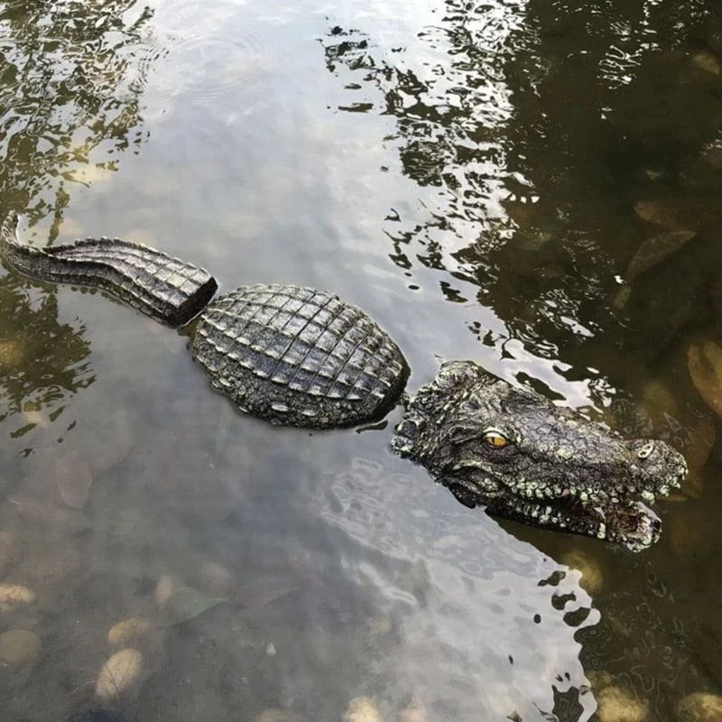 Crocodile_head_Frog_Animal_Floating_Statue_-_-4170429 Crocodile head Frog Animal Floating Statue -