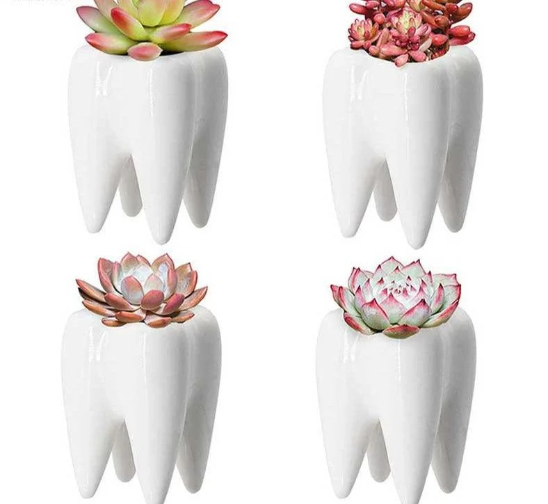Cute_Ceramic_Dental_Tooth_Planter_Pot_-_-4173743 Cute Ceramic Dental Tooth Planter Pot -