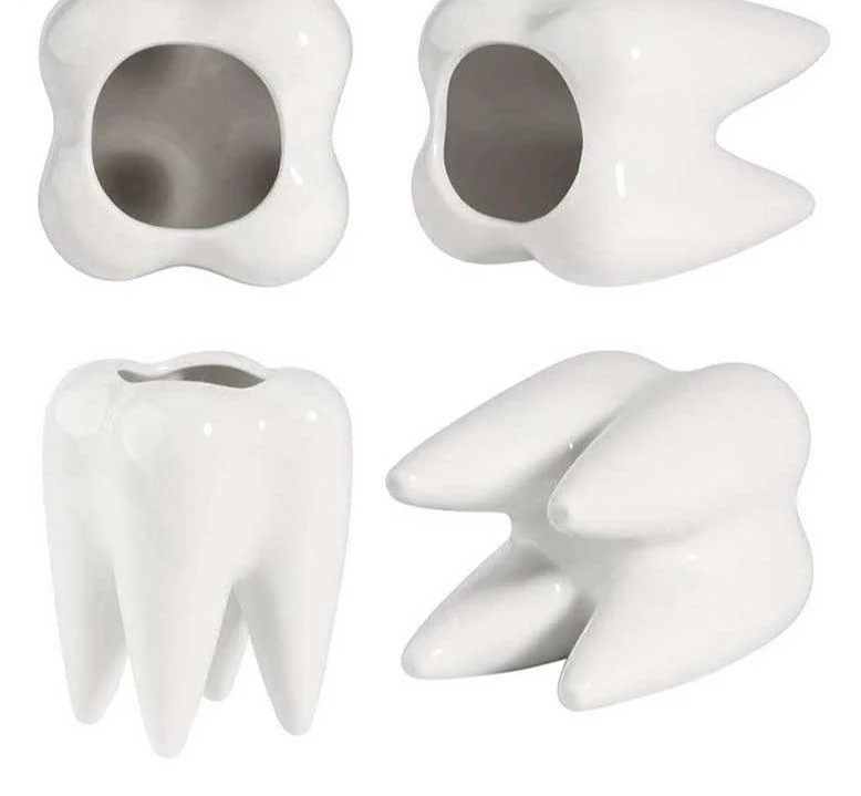 Cute_Ceramic_Dental_Tooth_Planter_Pot_-_-4173759 Cute Ceramic Dental Tooth Planter Pot -