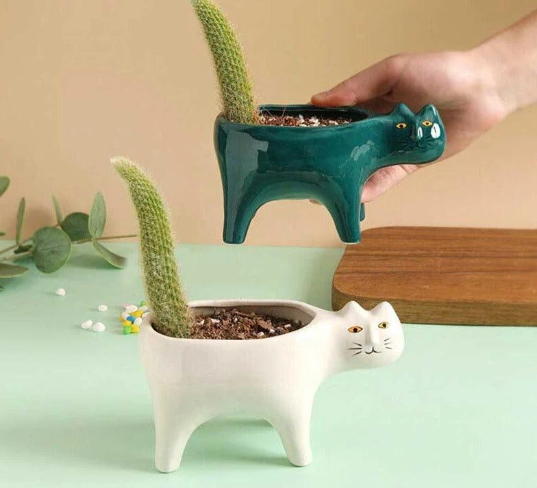 Cute_Succulent_Cactus_Ceramic_Cat_Vase_Planter_Pot_-_-4175815 Cute Succulent Cactus Ceramic Cat Vase Planter Pot -