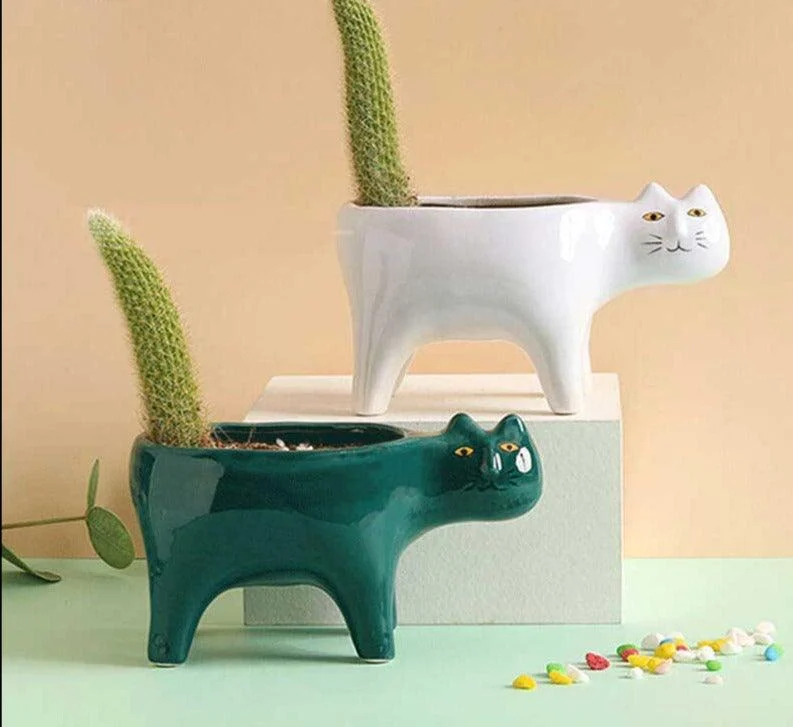 Cute_Succulent_Cactus_Ceramic_Cat_Vase_Planter_Pot_-_-4175821 Cute Succulent Cactus Ceramic Cat Vase Planter Pot -