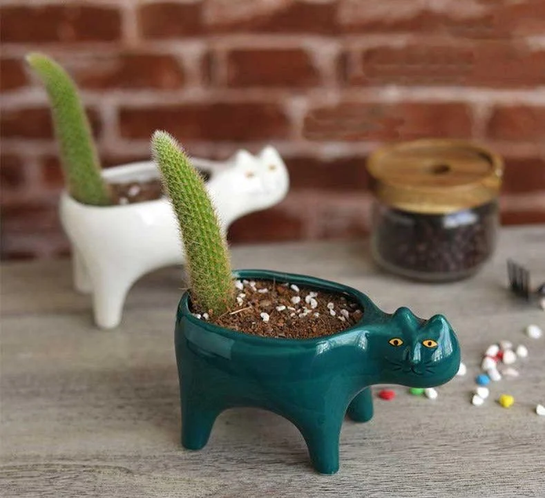 Cute_Succulent_Cactus_Ceramic_Cat_Vase_Planter_Pot_-_-4175840 Cute Succulent Cactus Ceramic Cat Vase Planter Pot -