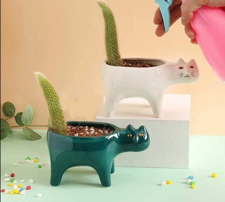 Cute_Succulent_Cactus_Ceramic_Cat_Vase_Planter_Pot_-_-4175845 Cute Succulent Cactus Ceramic Cat Vase Planter Pot -