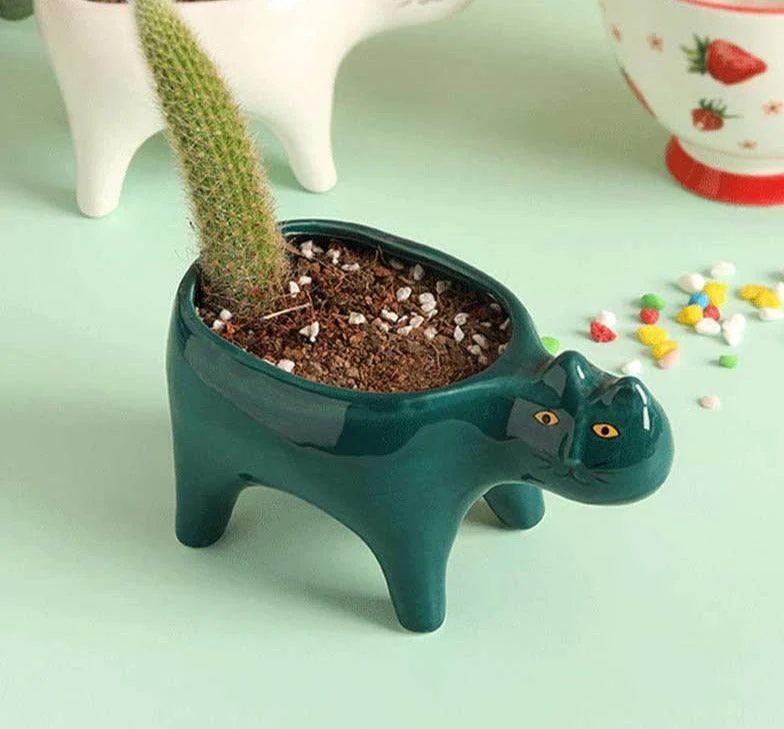 Cute_Succulent_Cactus_Ceramic_Cat_Vase_Planter_Pot_-_-4175853 Cute Succulent Cactus Ceramic Cat Vase Planter Pot -
