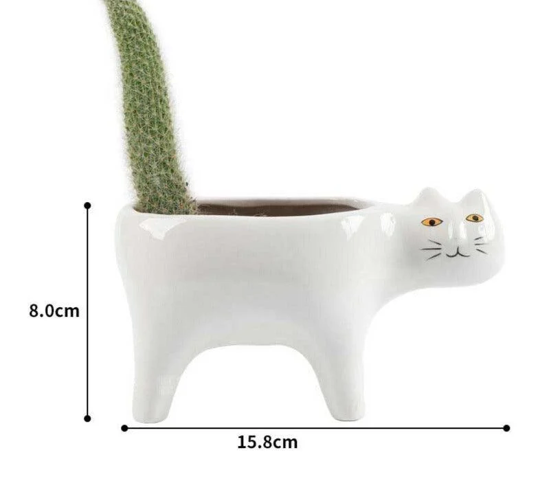 Cute_Succulent_Cactus_Ceramic_Cat_Vase_Planter_Pot_-_-4175866 Cute Succulent Cactus Ceramic Cat Vase Planter Pot -