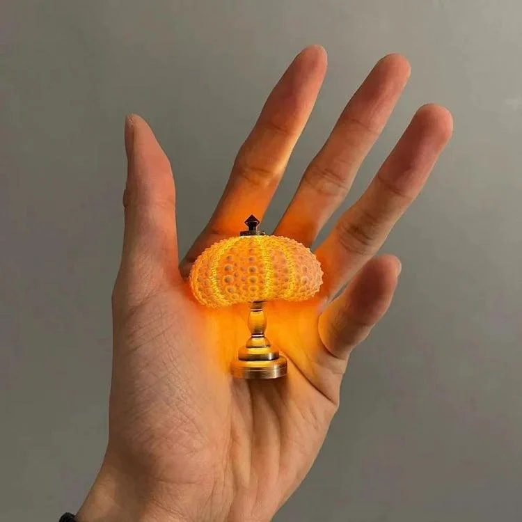 DIY_Sea_Urchin_Night_Light_Creative_and_Unique_Lighting_-_-_tag1_-4195215 DIY Sea Urchin Night Light – Creative and Unique Lighting - - #tag1#