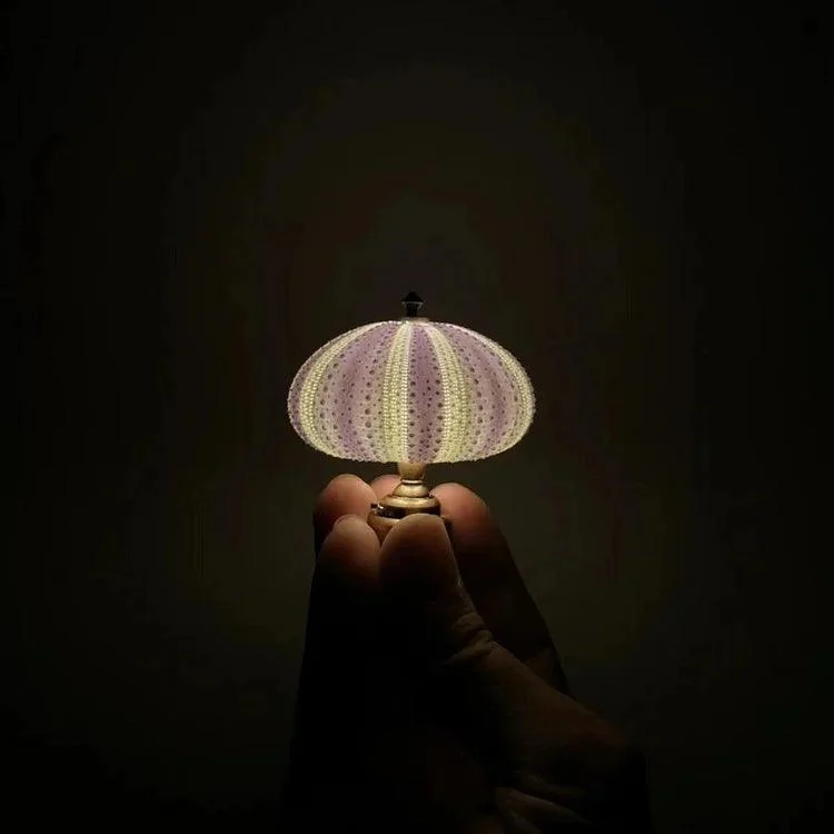 DIY_Sea_Urchin_Night_Light_Creative_and_Unique_Lighting_-_-_tag1_-4195224 DIY Sea Urchin Night Light – Creative and Unique Lighting - - #tag1#