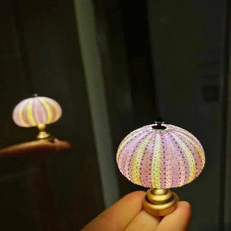 DIY_Sea_Urchin_Night_Light_Creative_and_Unique_Lighting_-_-_tag1_-4195229 DIY Sea Urchin Night Light – Creative and Unique Lighting - - #tag1#