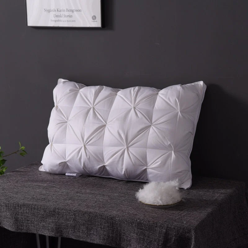 DREAM_GOOSE_DOWN_PILLOW_600TC_-_-_tag1_-4204332 DREAM GOOSE DOWN PILLOW 600TC - - #tag1#