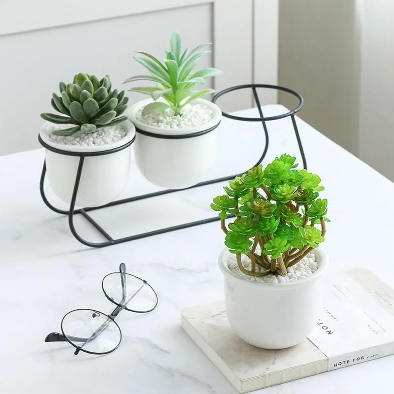 Daja - Modern White Ceramic Flower Pots -  - #tag1#