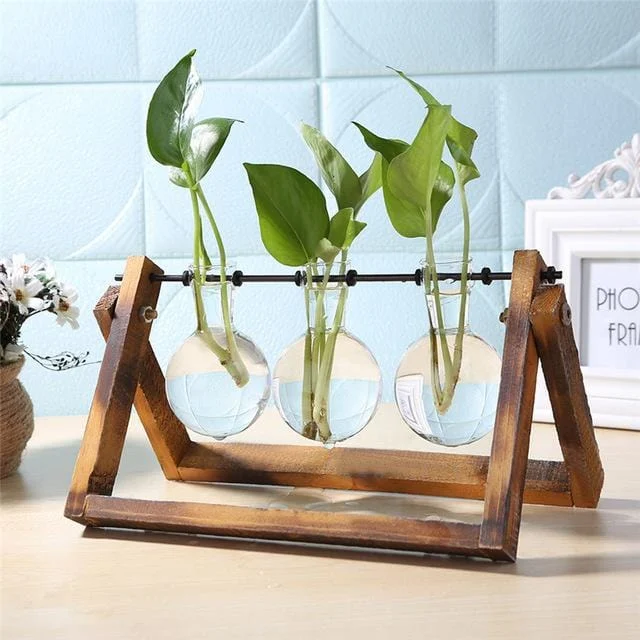 Desktop_Terrarium_-_-_tag1_-4199030 Desktop Terrarium - - #tag1#