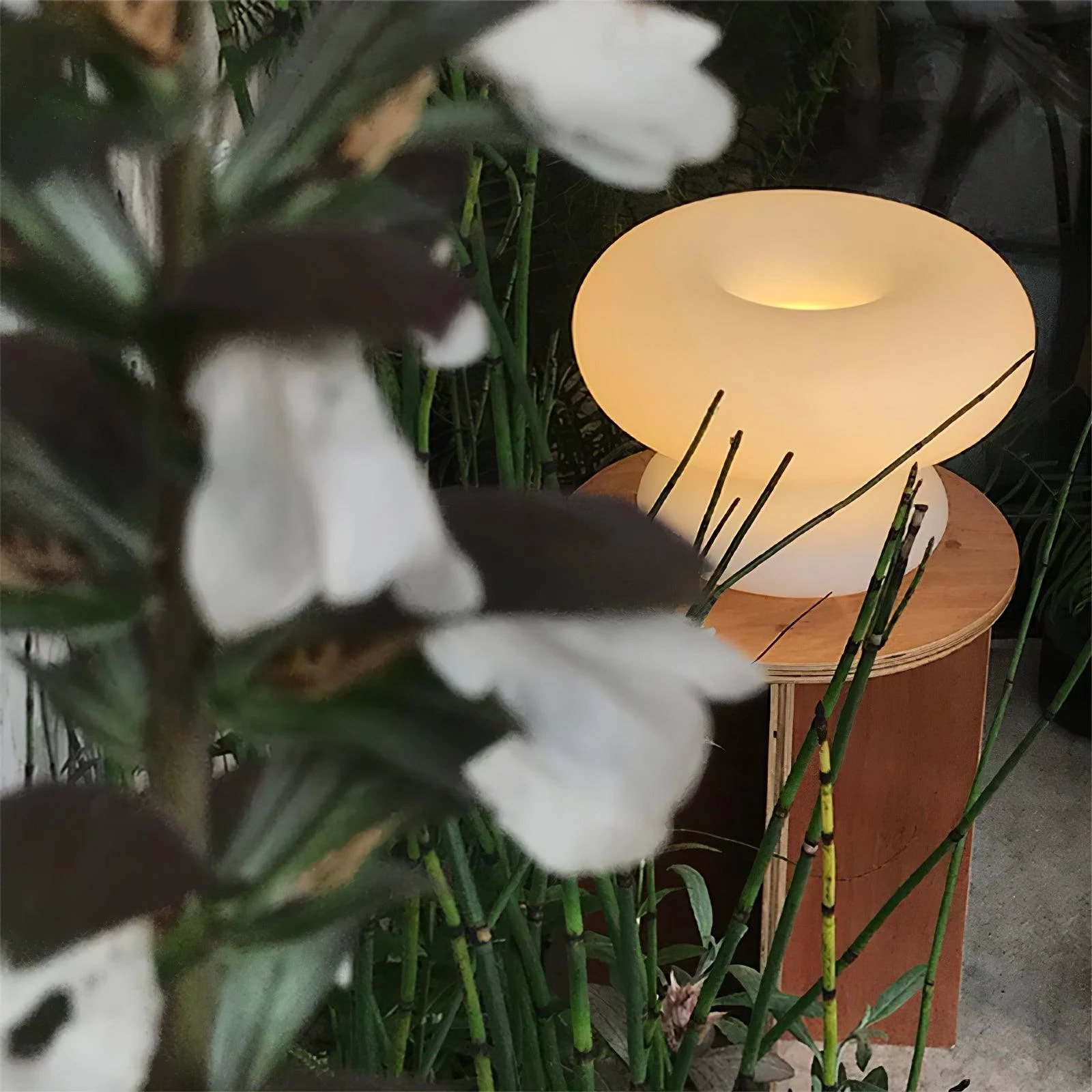 Donut_Table_Lamp_5_8d1e5bed-260f-4ee6-b46d-fe6d6521ad38 Donut Table Lamp 5 8d1e5bed 260f 4ee6 B46d Fe6d6521ad38