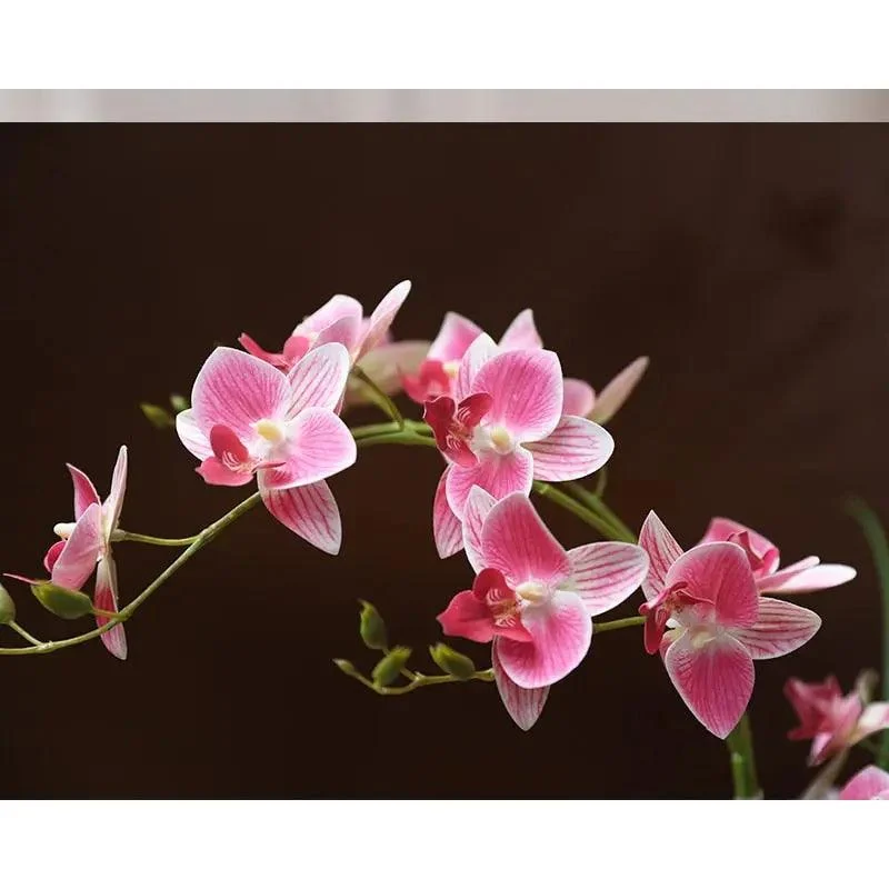 Dove_Ceramic_Vase_with_Orchid_-_-4180214 Dove Ceramic Vase with Orchid -