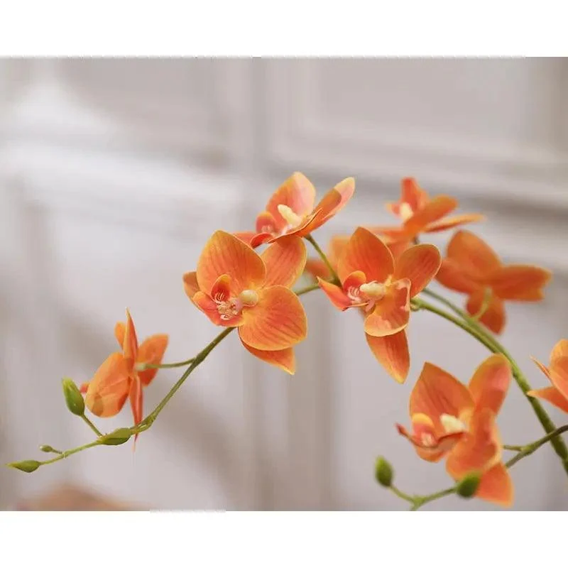 Dove_Ceramic_Vase_with_Orchid_-_-4180223 Dove Ceramic Vase with Orchid -