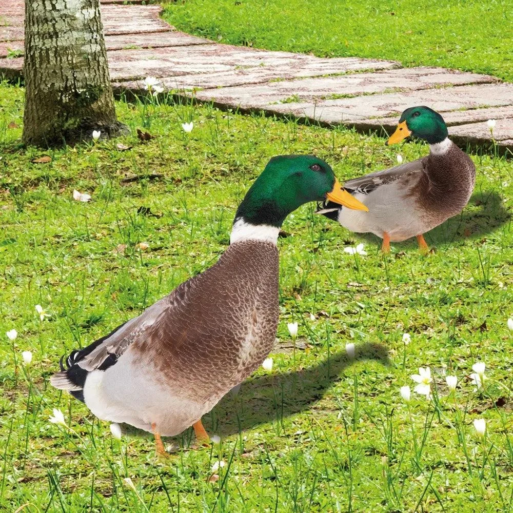 Duck_sculpture_Lifelike_duck_for_the_garden_-_-_tag1_-4205398 Duck sculpture | Lifelike duck for the garden - - #tag1#