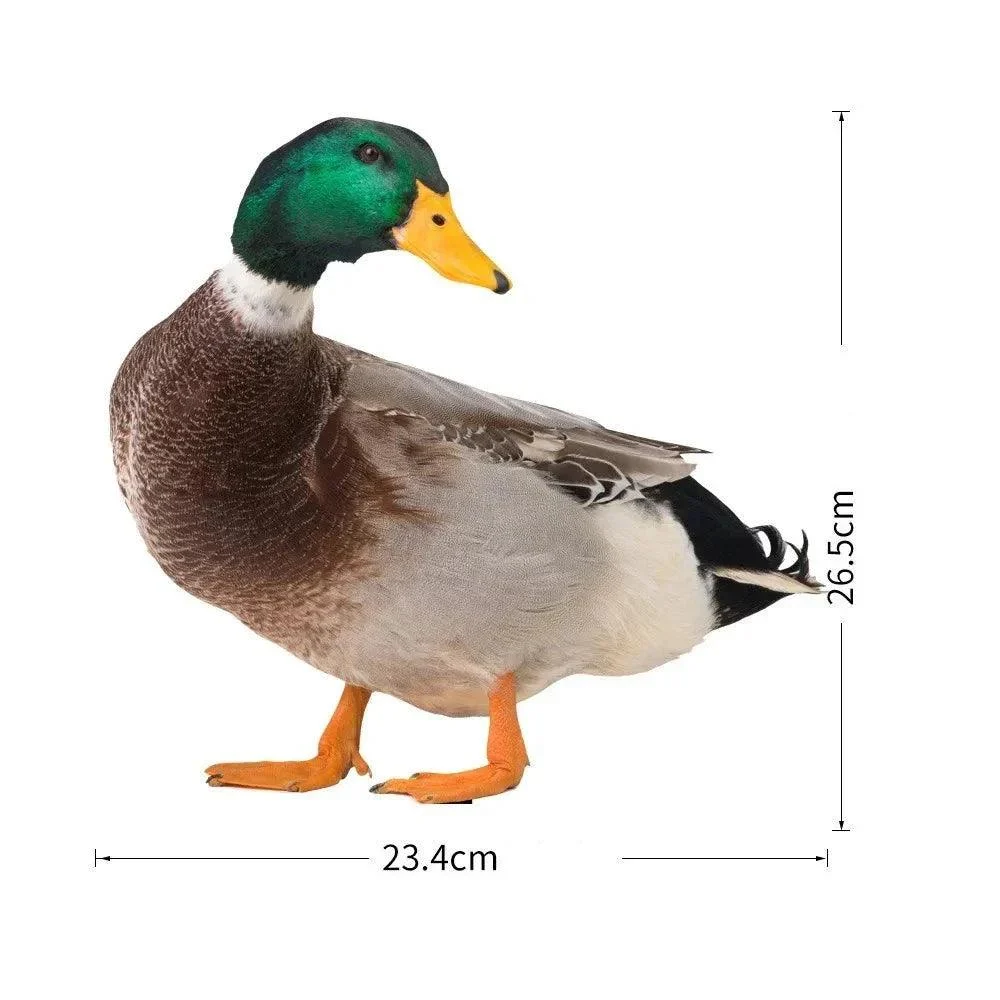 Duck_sculpture_Lifelike_duck_for_the_garden_-_-_tag1_-4205416 Duck sculpture | Lifelike duck for the garden - - #tag1#