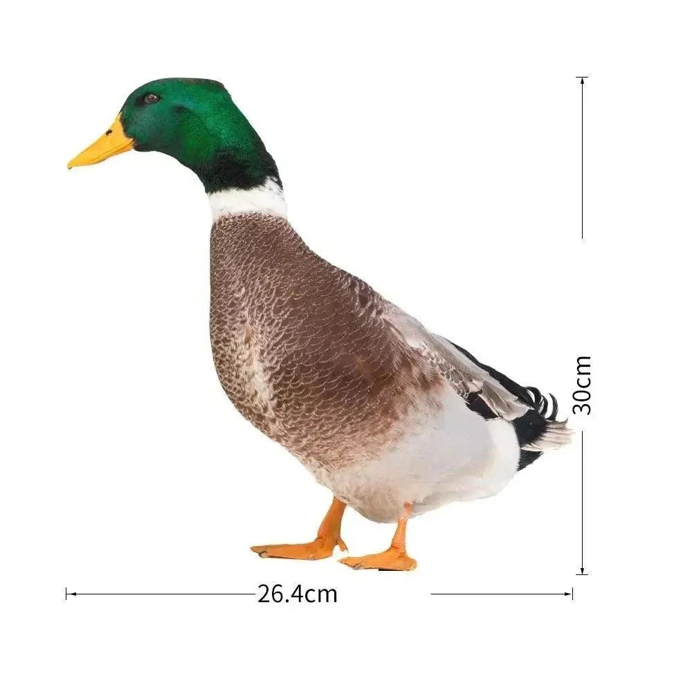 Duck_sculpture_Lifelike_duck_for_the_garden_-_-_tag1_-4205423 Duck sculpture | Lifelike duck for the garden - - #tag1#