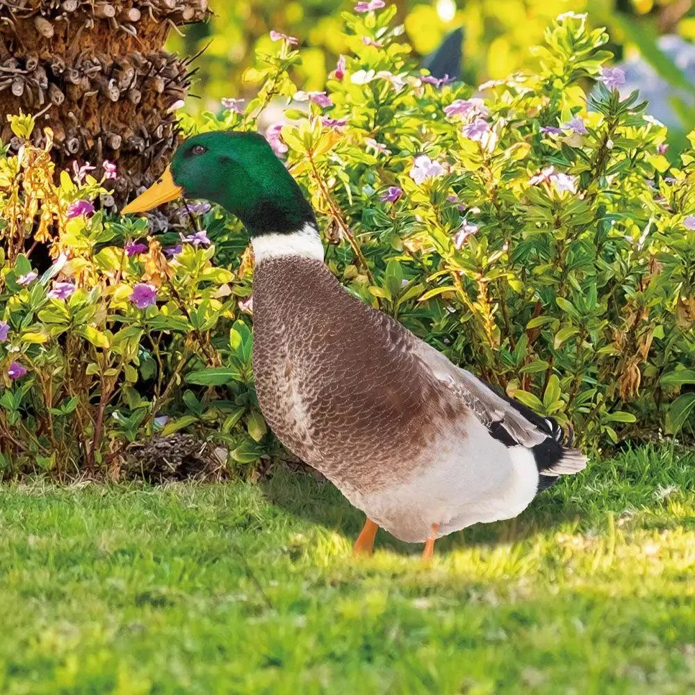 Duck_sculpture_Lifelike_duck_for_the_garden_-_-_tag1_-4205429 Duck sculpture | Lifelike duck for the garden - - #tag1#