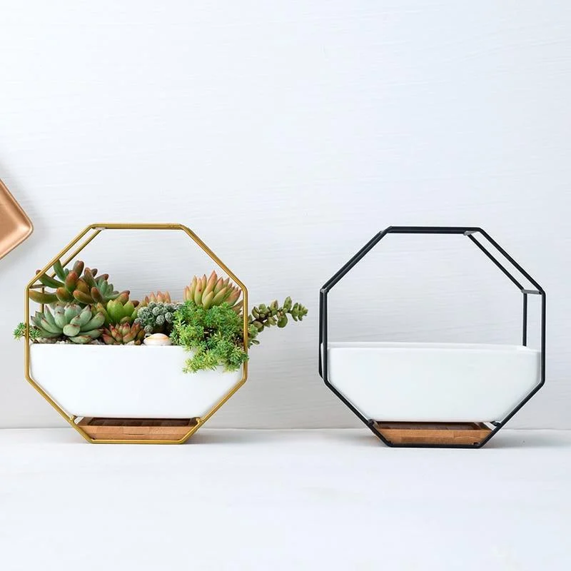 Elle_-_Nordic_Ceramic_Succulent_Plant_Pot_-_-_tag1_-4201126 Elle - Nordic Ceramic Succulent Plant Pot - - #tag1#