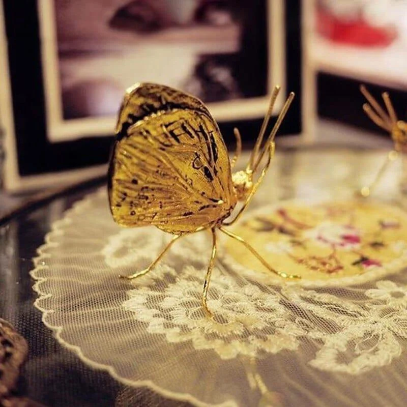 Evadne_Decor_-_-4185675 Evadne Decor -