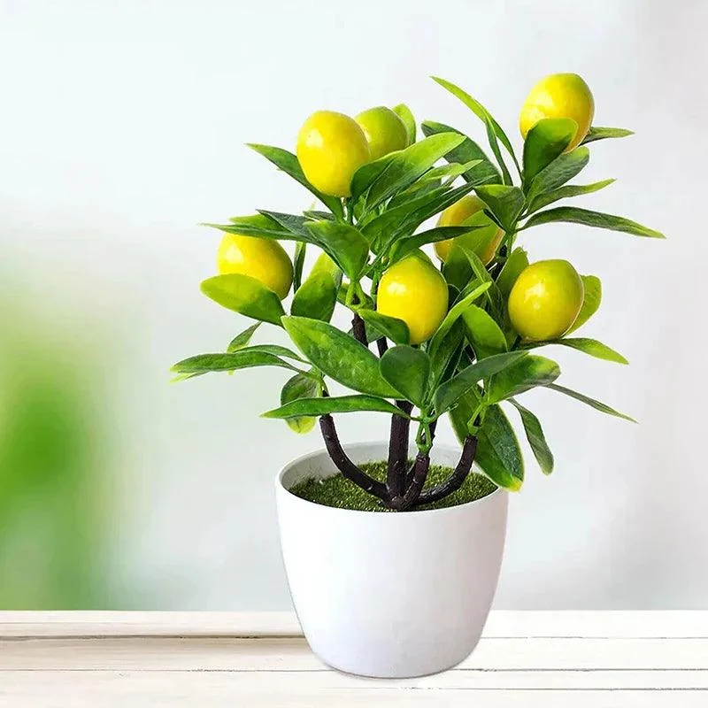 EverZest_-_Artificial_Lemon_Tree_-_-4186074 EverZest - Artificial Lemon Tree -