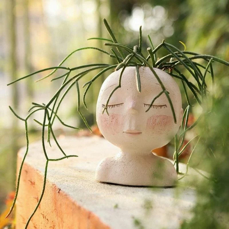Face Flower Hair Planter Pot -