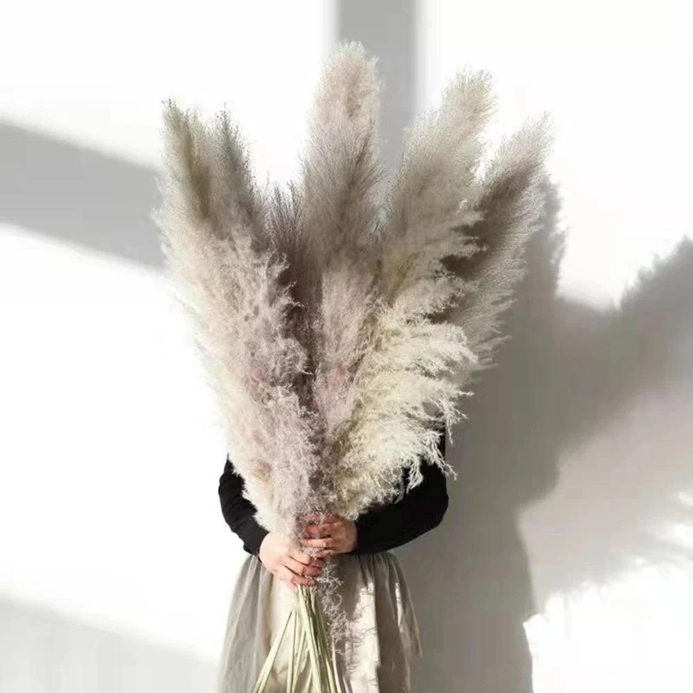 FeatherFawn_-_Pampas_Dried_Flowers_-_-4188230 FeatherFawn - Pampas Dried Flowers -