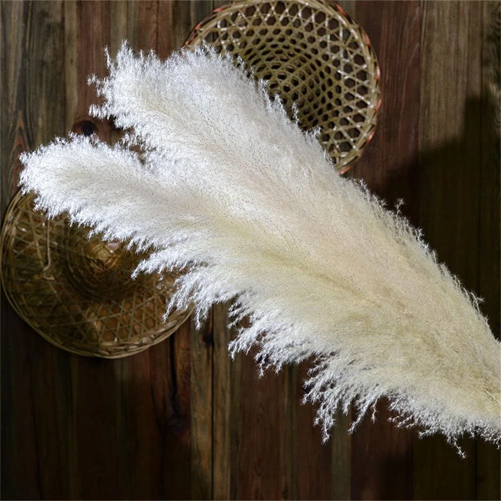 FeatherFawn_-_Pampas_Dried_Flowers_-_-4188234 FeatherFawn - Pampas Dried Flowers -