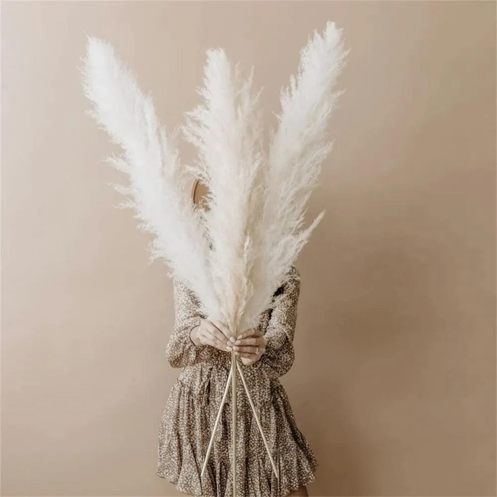 FeatherFawn_-_Pampas_Dried_Flowers_-_-4188244 FeatherFawn - Pampas Dried Flowers -