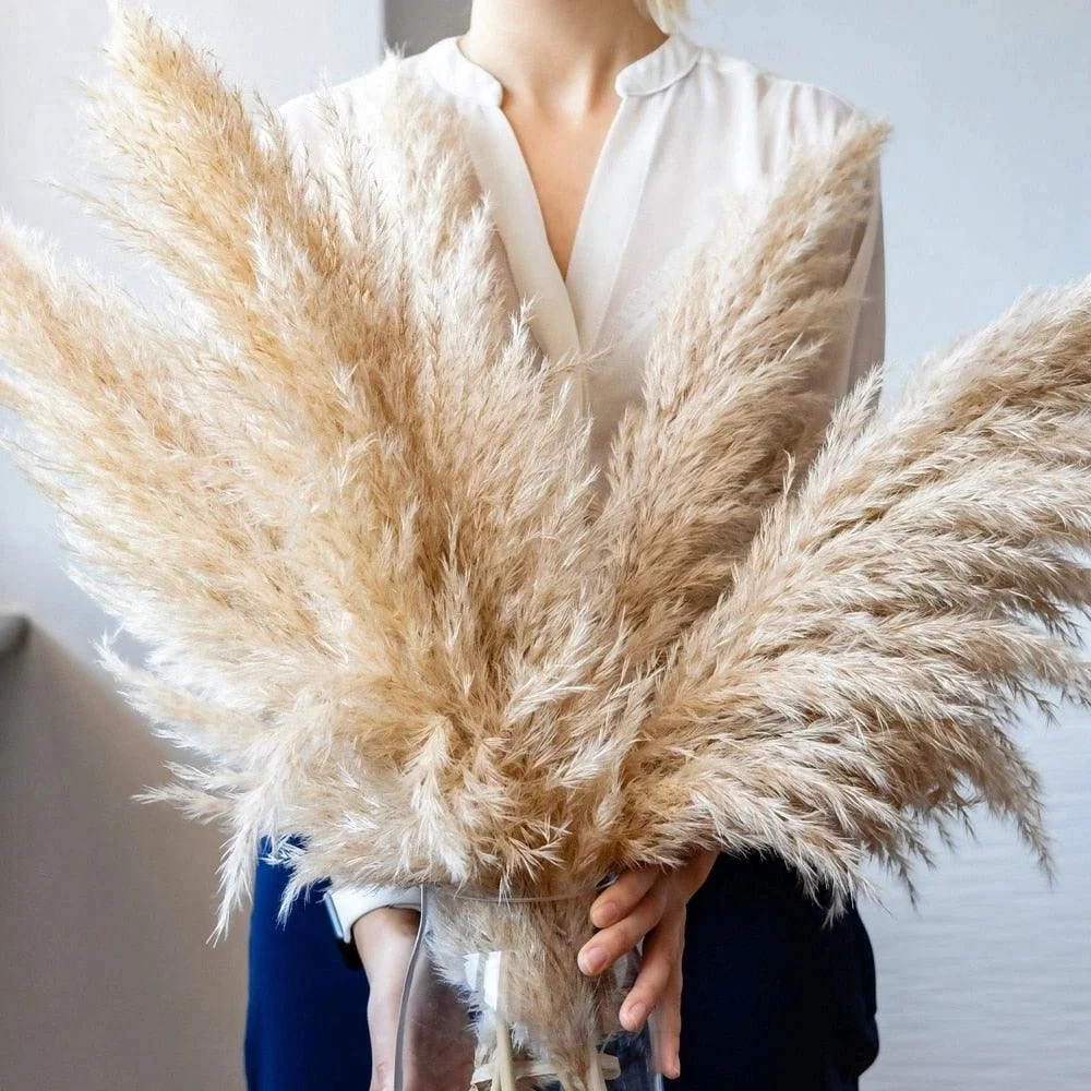 FeatherFawn_-_Pampas_Dried_Flowers_-_-4188254 FeatherFawn - Pampas Dried Flowers -