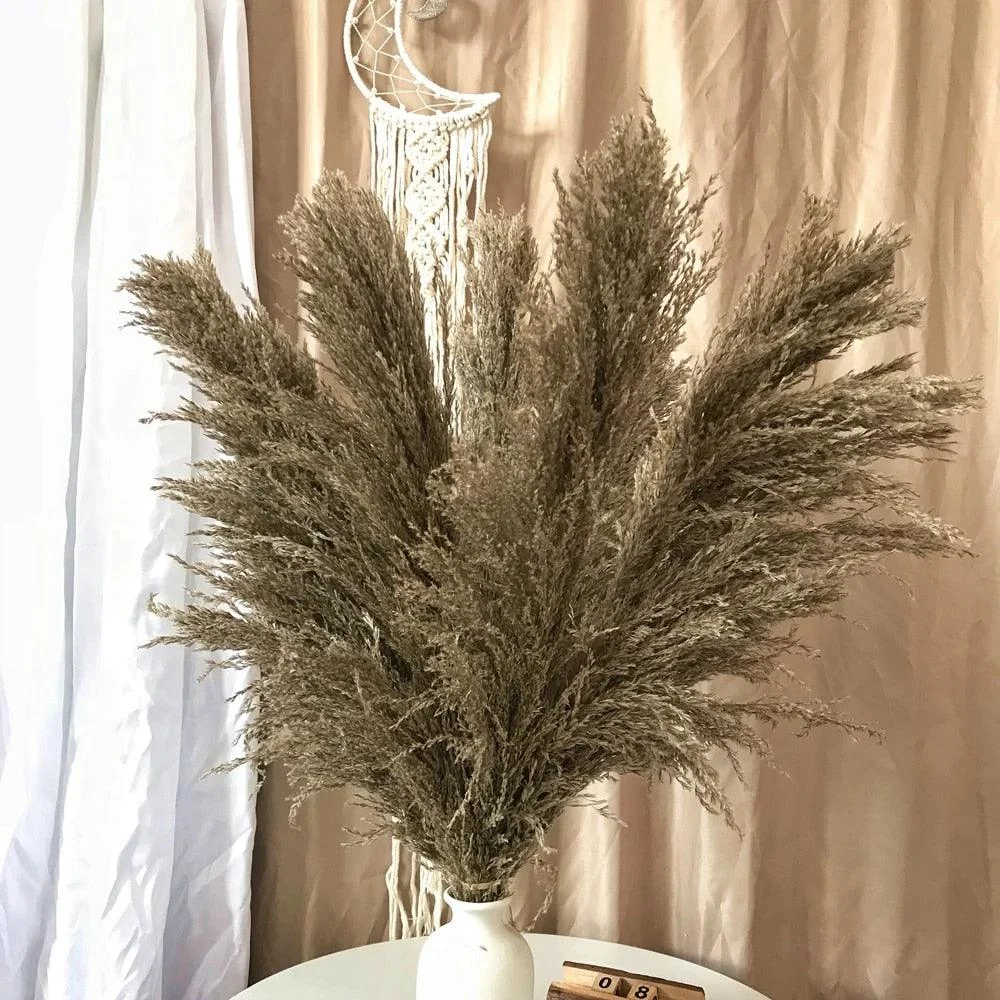 FeatherFawn_-_Pampas_Dried_Flowers_-_-4188258 FeatherFawn - Pampas Dried Flowers -