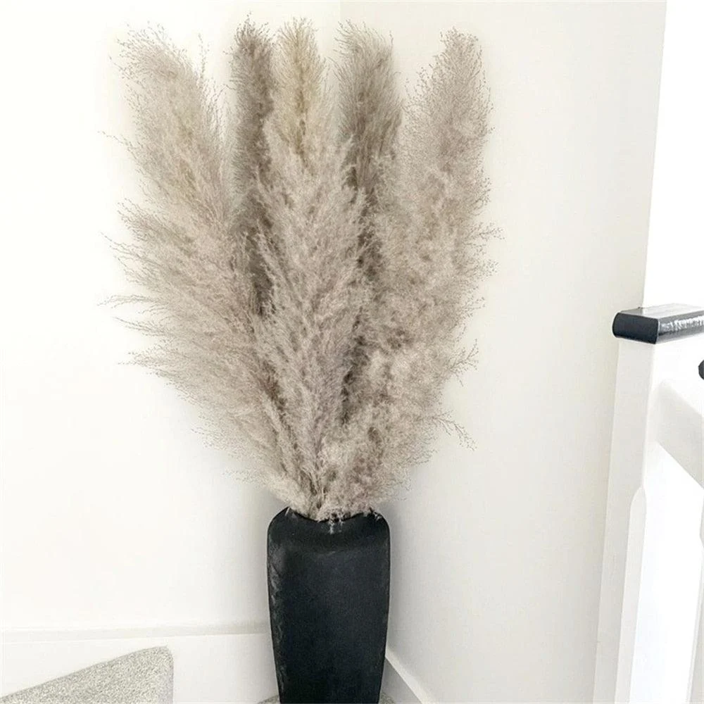 FeatherFawn_-_Pampas_Dried_Flowers_-_-4188263 FeatherFawn - Pampas Dried Flowers -