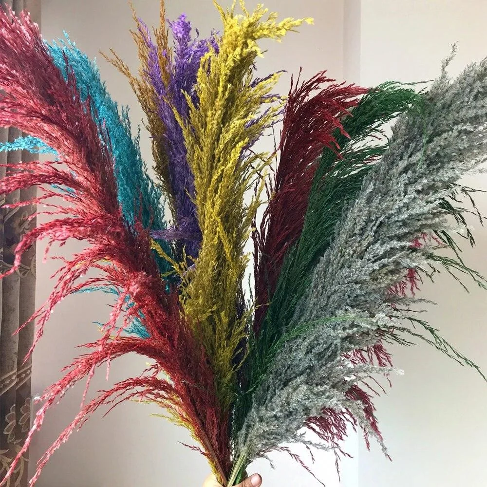 FeatherFawn_-_Pampas_Dried_Flowers_-_-4188268 FeatherFawn - Pampas Dried Flowers -