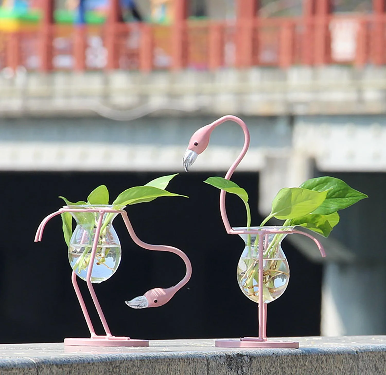 Flamingo Propagation Station -