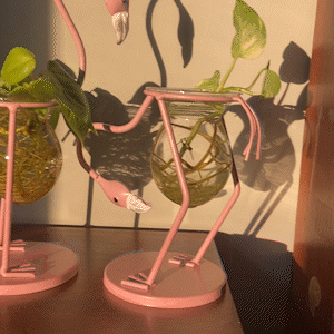 Flamingo_Propagation_Station_-_-4189043 Flamingo Propagation Station -