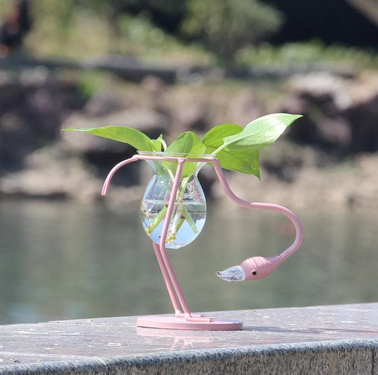 Flamingo_Propagation_Station_-_-4189075 Flamingo Propagation Station -