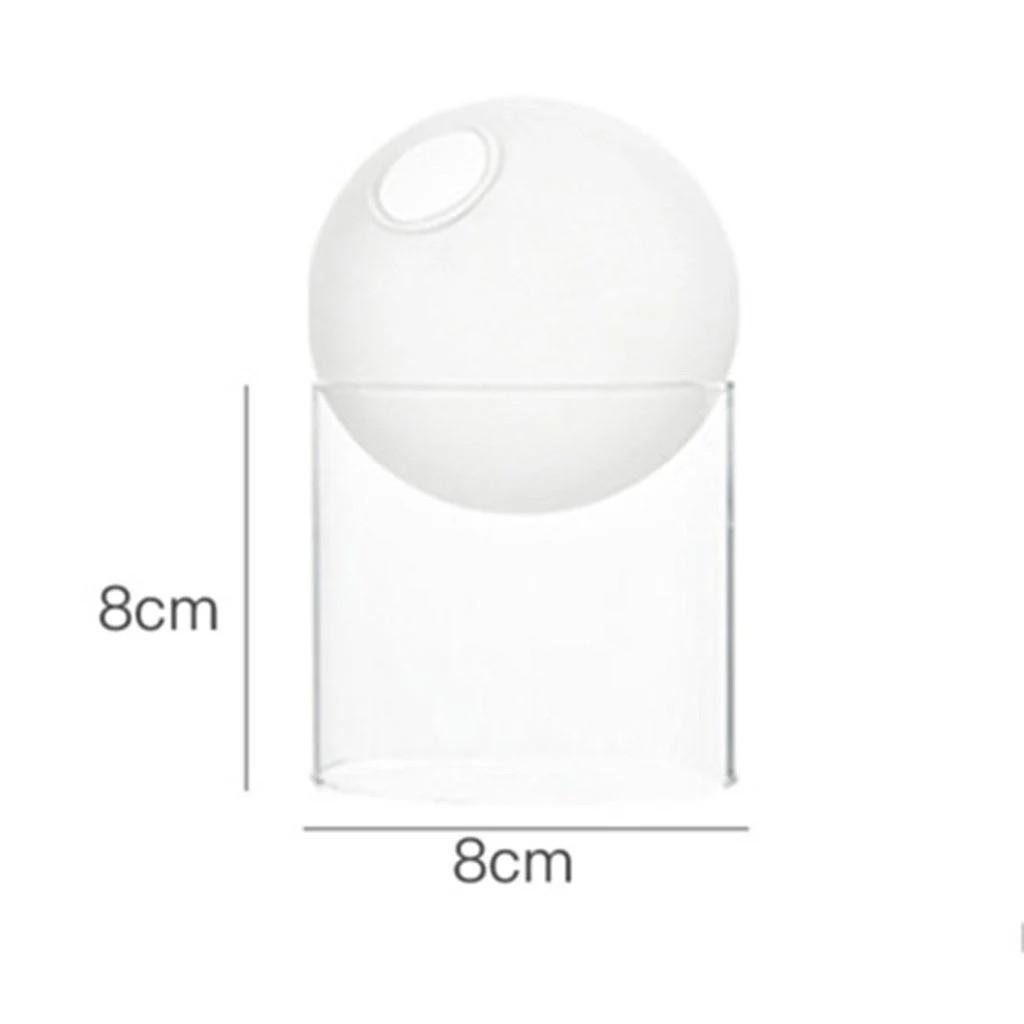 Floating_Orb_Terrariums_-_-4189391 Floating Orb Terrariums -