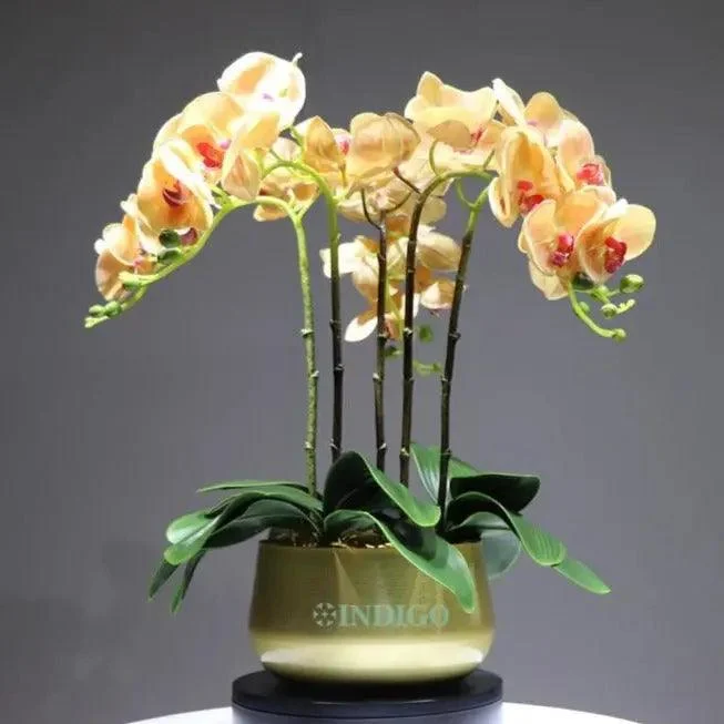 Flora_Faux_Orchid_with_Vase_-_-4189527 Flora Faux Orchid with Vase -
