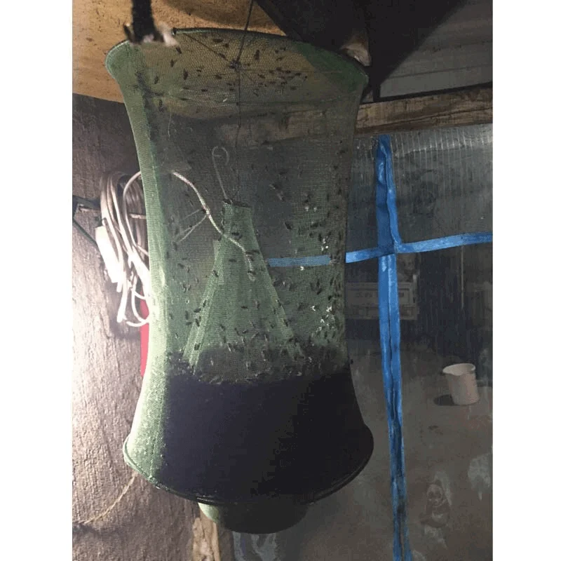 Fly_Catcher_-_Fly_Killer_-_Reusable_Net_-_Garden_Insect_Control_-_-_tag1_-4225484 Fly Catcher - Fly Killer - Reusable Net - Garden Insect Control - - #tag1#
