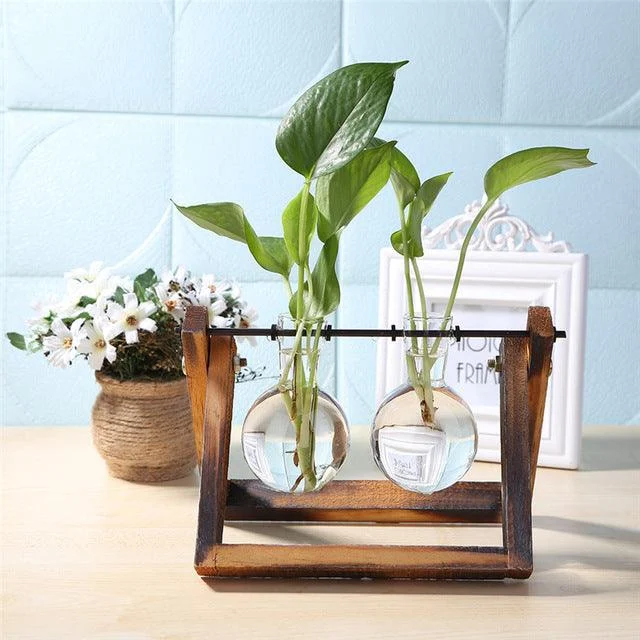 Freestanding Propagation Station -