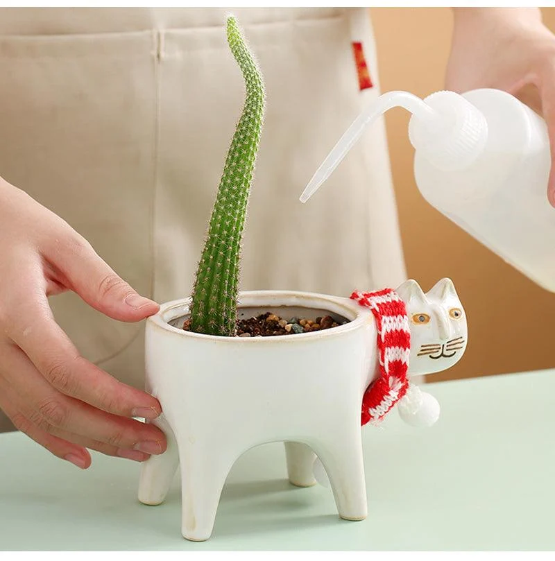 Frisky_Kitty_Ceramic_Pot_-_-4192005 Frisky Kitty Ceramic Pot -