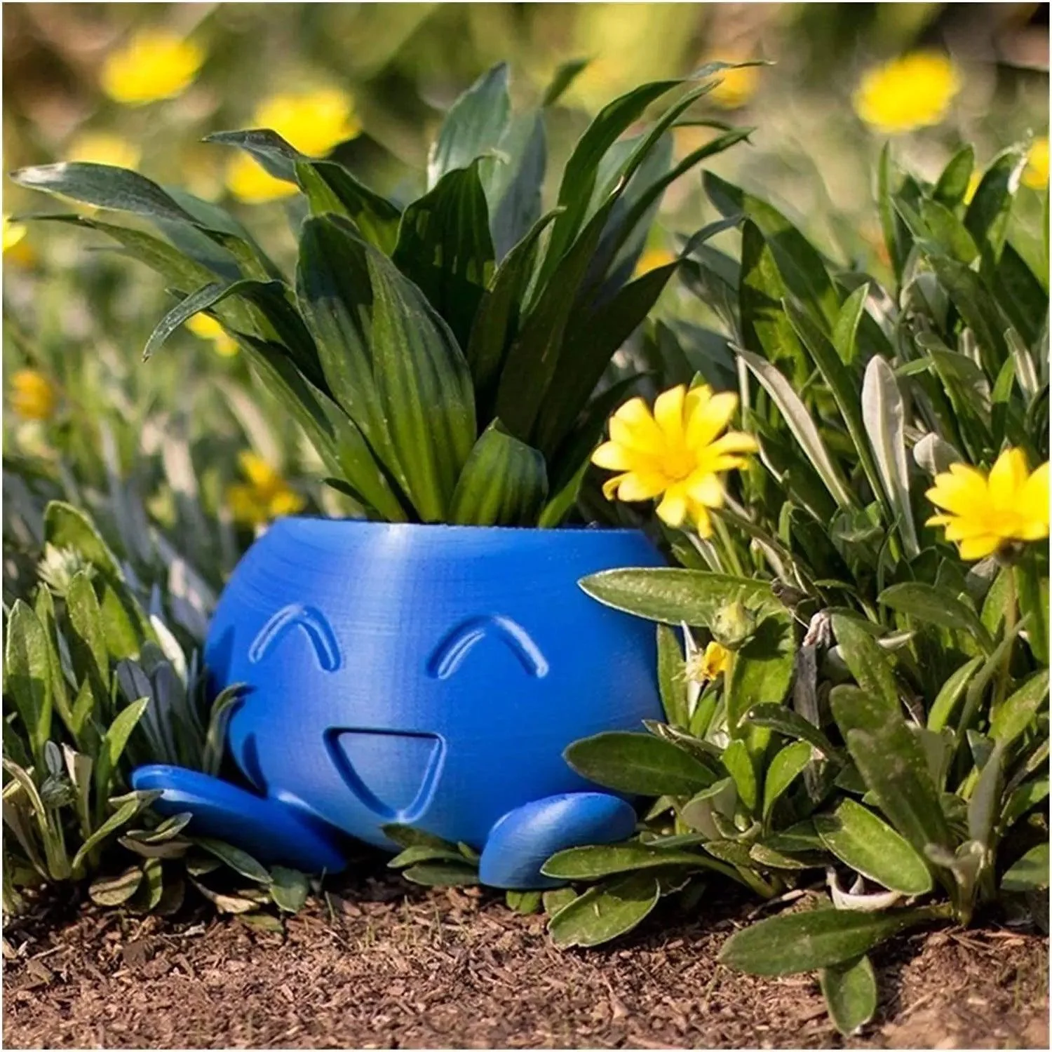 Gekkige-Plantenbak-Gekkige-Bloempot-Sappige-Bloempot-Plantenbak.jpg_05bf41f0-6554-4051-9383-7bdad4a7cead Gekkige Plantenbak Gekkige Bloempot Sappige Bloempot Plantenbak.jpg 05bf41f0 6554 4051 9383 7bdad4a7cead