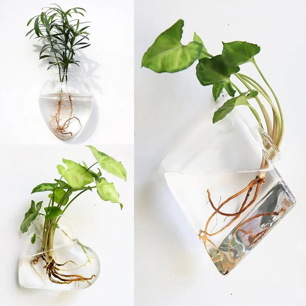 Geometric_Wall_Planters_-_-4194269 Geometric Wall Planters -