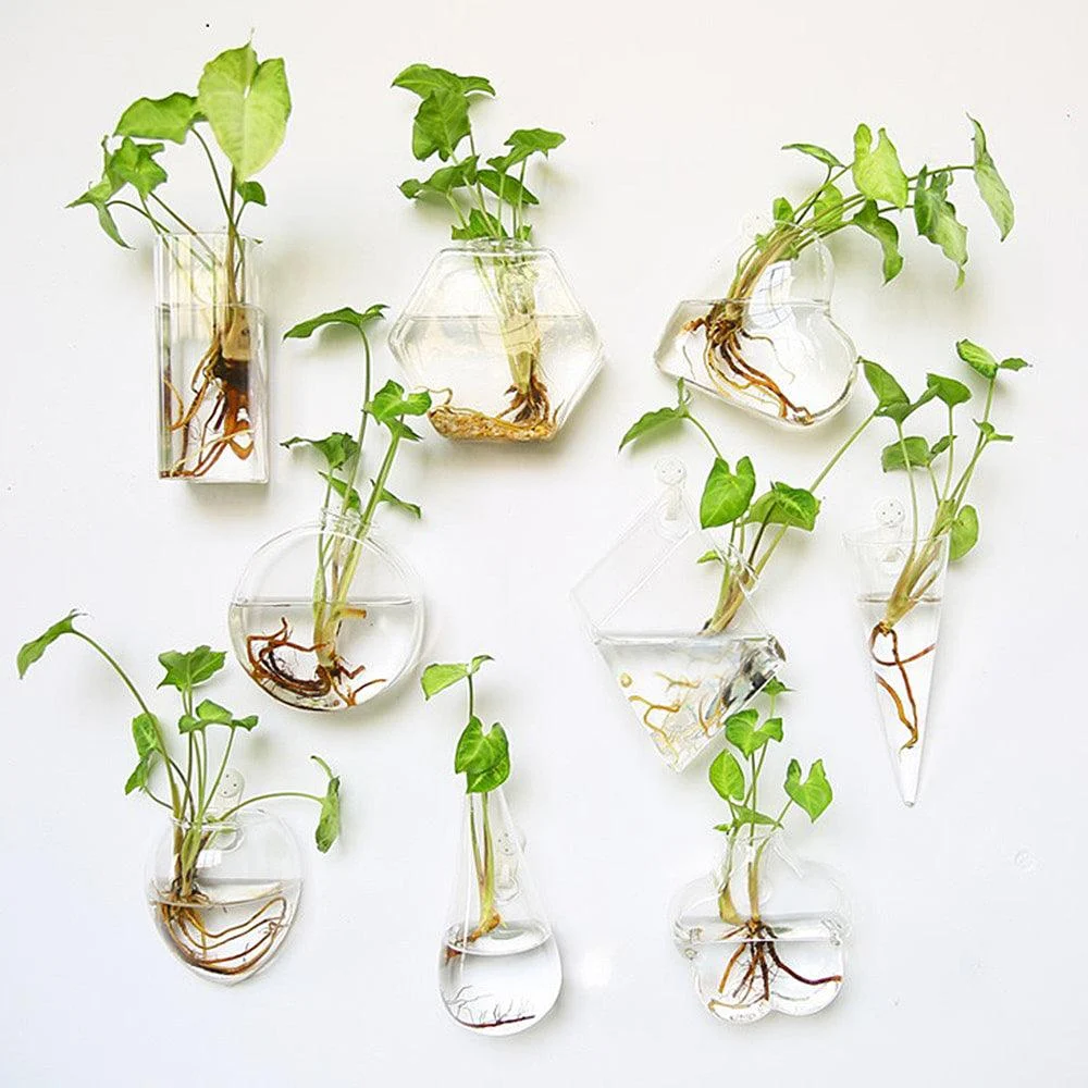 Geometric_Wall_Planters_-_-4194272 Geometric Wall Planters -